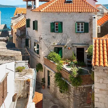 Dalmatian Stonehouse Esperanza